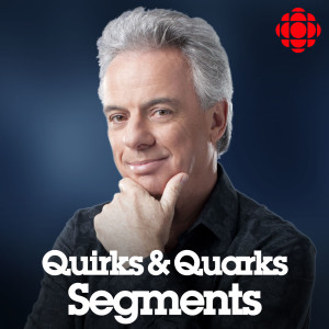 Quirks and Quarks Segmented Show from CBC Radio
