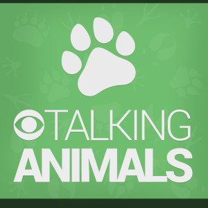 Talking Animals